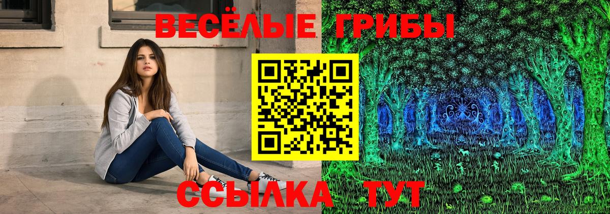 Брянск  Галлюциногенные грибы мицелий  Вход с VPN 